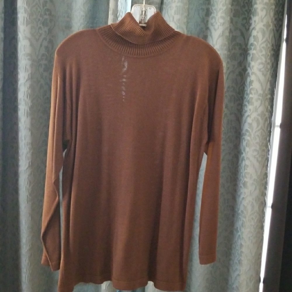 Brown Turtle Neck Sweater